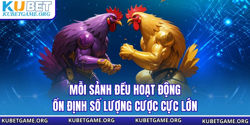 Mỗi sảnh đều hoạt động ổn định số lượng cược cực lớn